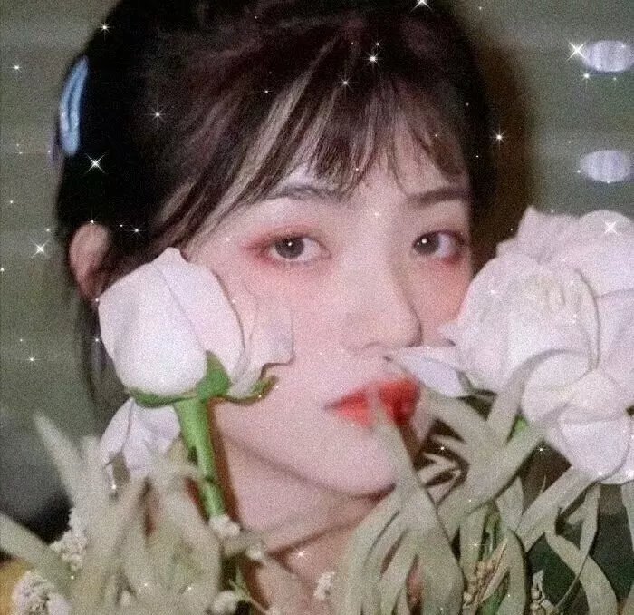 真爱的风采